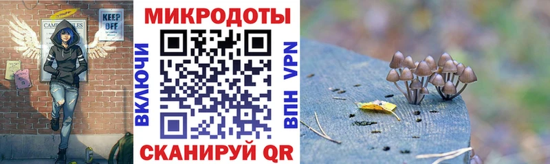 Псилоцибиновые грибы мицелий  Южно-Сахалинск 
